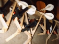 IMG00145