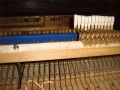 IMG00149
