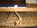 IMG00150