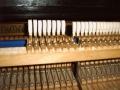 IMG00151
