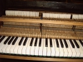 IMG00152