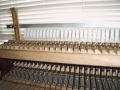 IMG00155