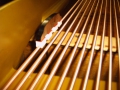 IMG00157