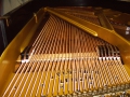 IMG00159