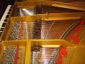 IMG00164