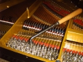 IMG00165