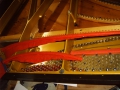 IMG00081