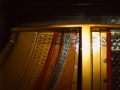 IMG00088