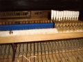 IMG00149