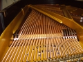 IMG00159