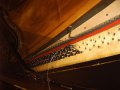 Tafel-R51
