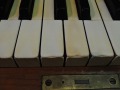 DSCN0201