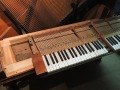 DSCN0202