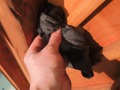 DSCN0221