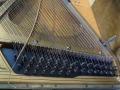 DSCN0235