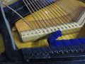 DSCN0237