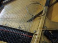 DSCN0250