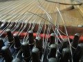 DSCN0251