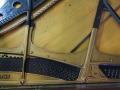 DSCN0263
