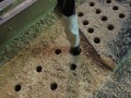 DSCN0304