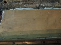 DSCN0311