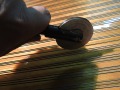 DSCN0512