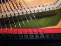 DSCN0530