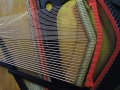 DSCN0533