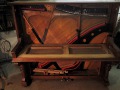 DSCN0560