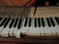 DSCN0586