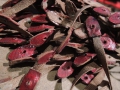 DSCN0723