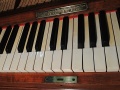 DSCN0843