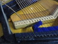 DSCN0237