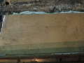 DSCN0311