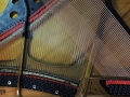 DSCN0536
