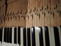 DSCN0583