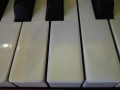 DSCN0644
