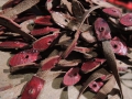 DSCN0723