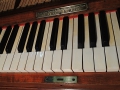 DSCN0843