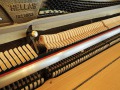 Hellas-Eiche-009