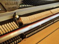 Hellas-Eiche-009