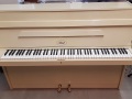 Ibach-105-001