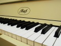 Ibach-105-002
