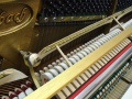 Ibach-105-004
