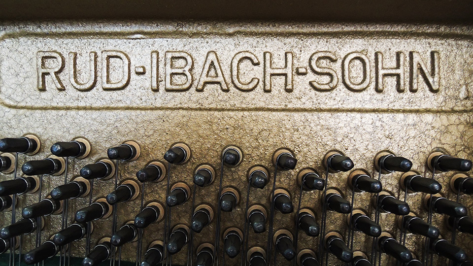 Ibach-Eiche-003