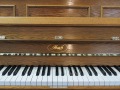 Ibach-Eiche-002