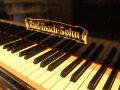 IbachFluegel-003