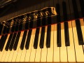 IbachFluegel-010