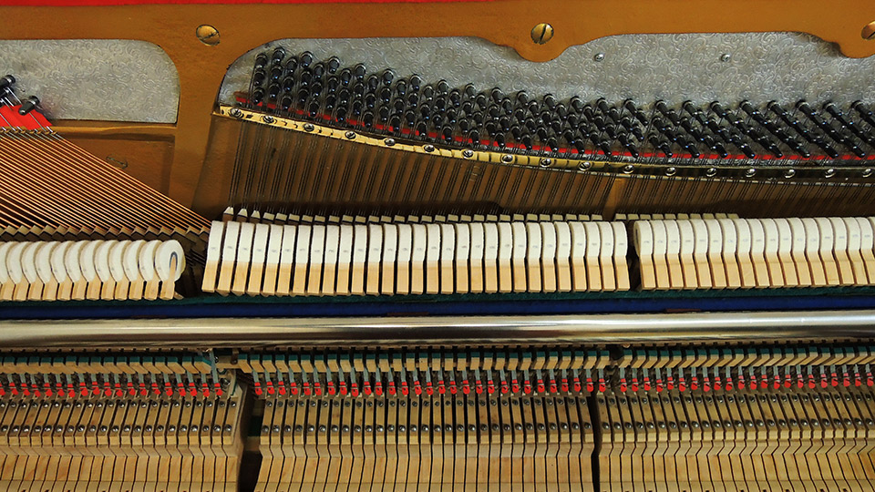 J-P-Sauer-20