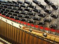 J-P-Sauer-19